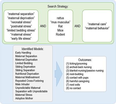 How Early Life Stress Impact Maternal Care: A Systematic Review of Rodent Studies